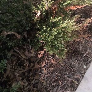 Meet your Posher, Ben